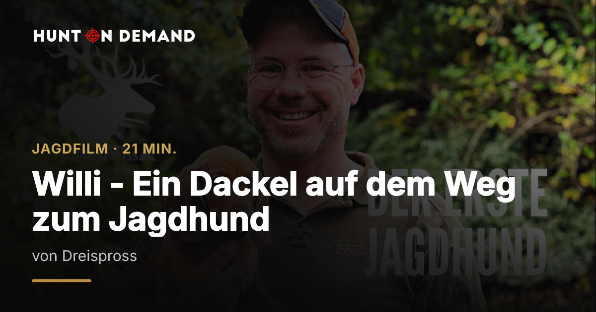 Willi – Ein Dackel auf dem Weg zum Jagdhund