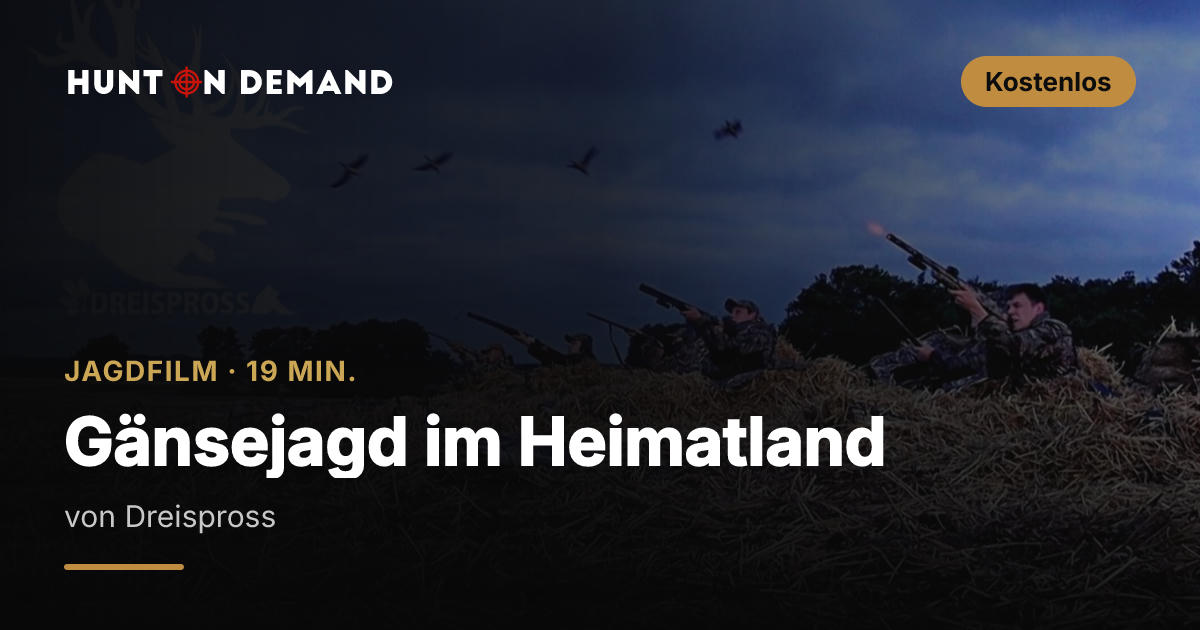 Gänsejagd im Heimatland